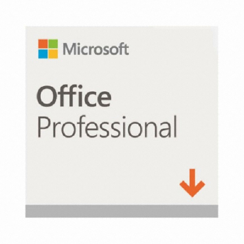 Microsoft Office 2019 Professional (ESD)_이미지