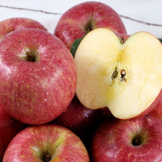 이슬마루 산지직송 의성 햇 흠집 사과 중 10kg