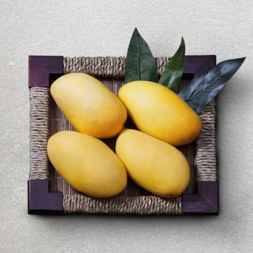 인정식탁 후레쉬데이 프리미엄 태국망고 2~4과 1kg (1개)