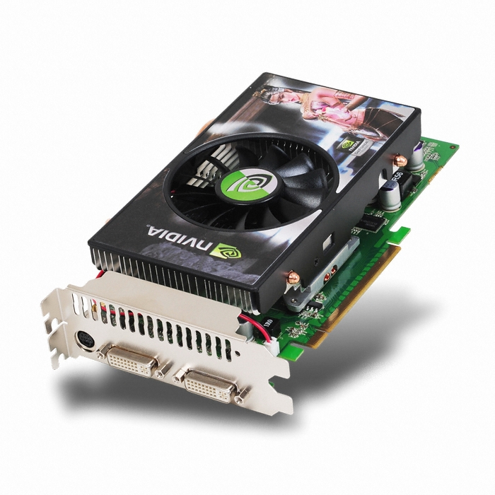 Foxtechnology 지포스 GTS250 QUANTUM FORCE DDR3 512MB_이미지