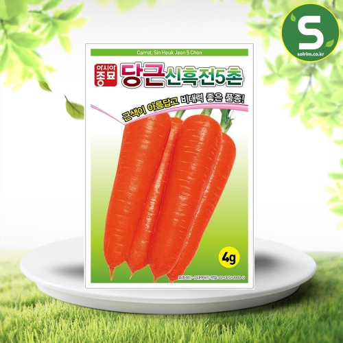 당근씨앗 신흑전5촌당근4g 가을겨울 수확
