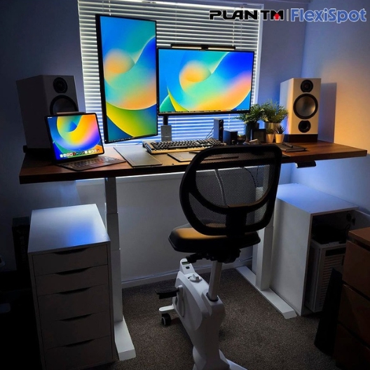 FLEXISPOT �÷�Ƽ�� E7 ������ �����̾��� ��� ���ĵ� å��