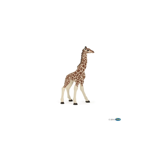아기 기린 (50100)