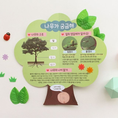 도토리클래스 도토리클래스 식목일 나무야_이미지