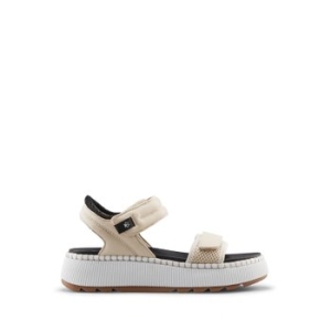 ���ĵ ���� ���� �������� W9DSPRI3M91CG