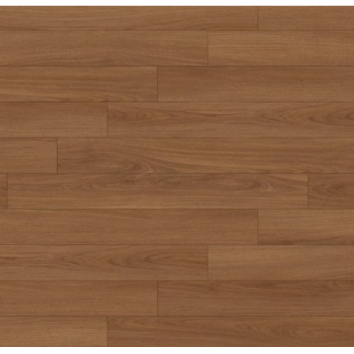 KCC �� ������ �� ���� ����