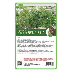 댕댕이나무씨앗 2g