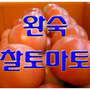 [불명] 완숙 찰 토마토 5kg (1개)_이미지