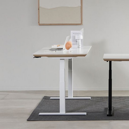 디포코 리낙W DL6 3스텝 퓨어화이트 세라믹 모션 스탠딩 책상 1600 (160x80cm)