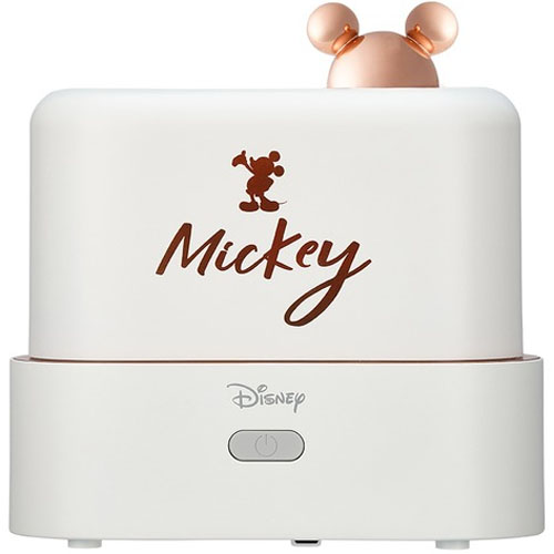 디즈니 WDU-L40_이미지