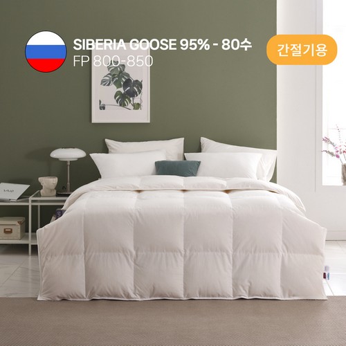 �����к긯 80�� �ú����� ���� 95% ������� �̺Ҽ�