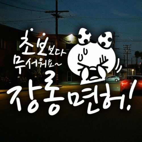 제제데코  장롱면허 쁘띠 초보운전 스티커 (화이트)