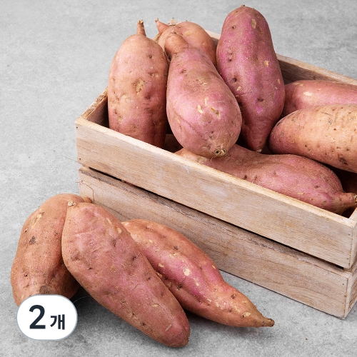 우농영농조합법인 곰곰 맛있는 호박고구마 3kg (2개)_이미지