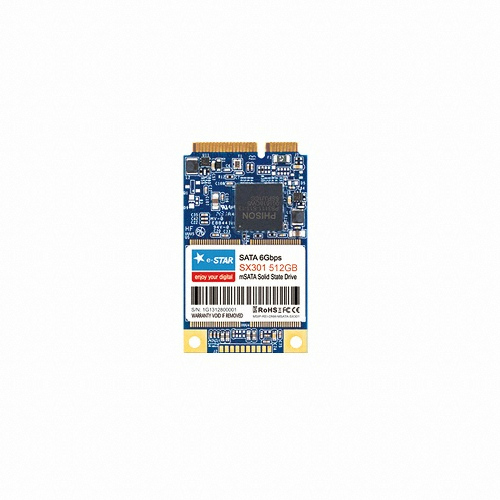 디지탈그리고나 e-STAR SX301 mSATA (512GB)