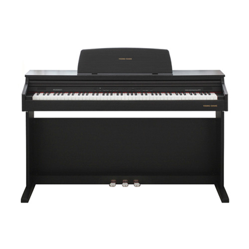 HDC영창 커즈와일 KT1 (일반)