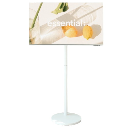 브로스앤컴퍼니 파우트 EYES20