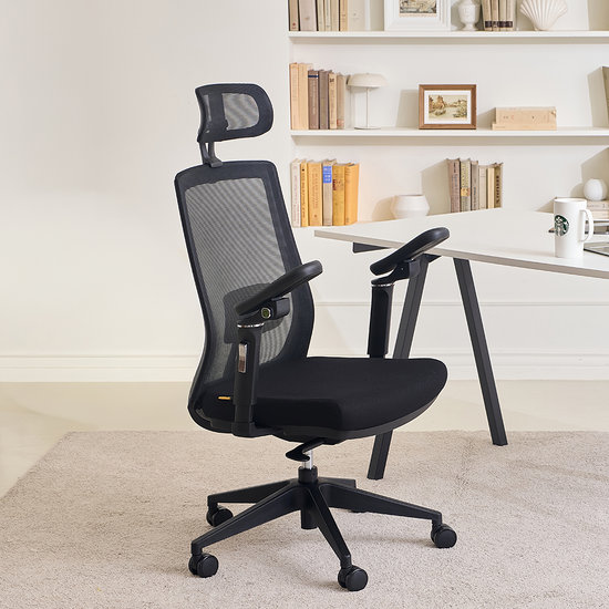 �����Ƚ����̹� �޽� 5D MC002 ��ǻ�� ���̹� ����