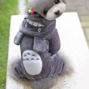 [불명] 지니의다락방토토로 올인원 강아지옷_이미지