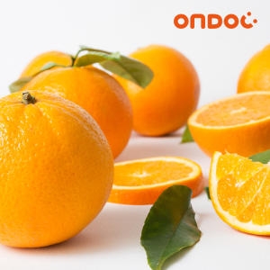 온도씨 미국산 네이블 오렌지 200g내외 [10개]