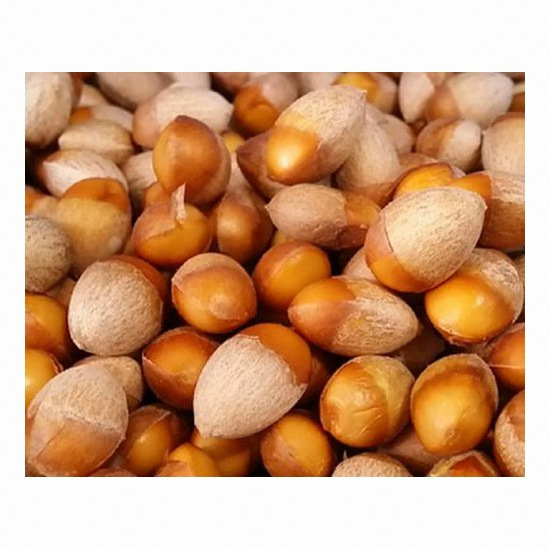 �̽����� ������ ����� 1kg