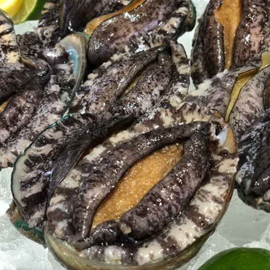 해신수산 완도활전복 대 11~12개(마리) 1kg (1개)