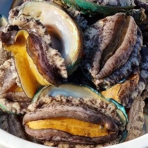 케이엠푸드 완도 활 꼬마전복 40~60미 1kg