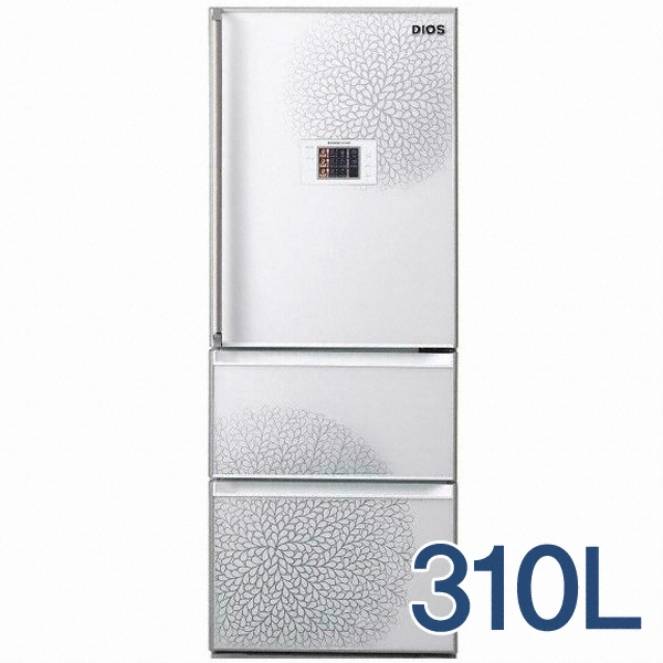 LG전자 디오스 R-D311GCEW