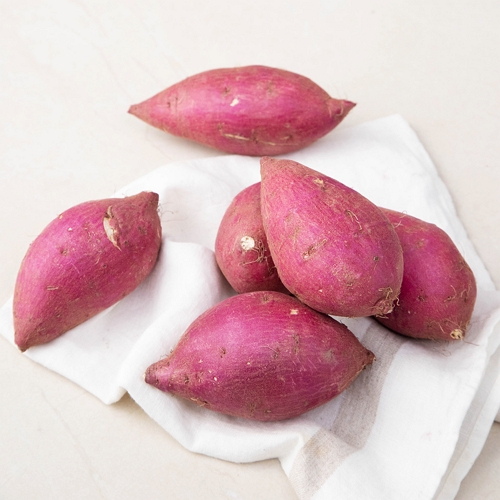 곰곰 햇 꿀고구마 700g (1개)