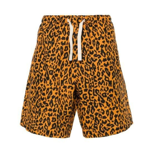 �ʾ����� ������ PMCB051S24FA B001 2010