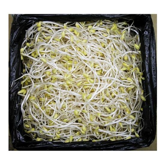 강산애닷컴 곱슬이 콩나물 3.5kg (1개)_이미지