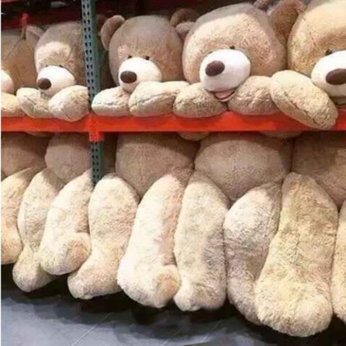 코스트코 초대형 곰인형 국민 애착 수면 안고자는 대형인형 1.3 1.6 2.6 3.4m 100cm 약 2kg_이미지