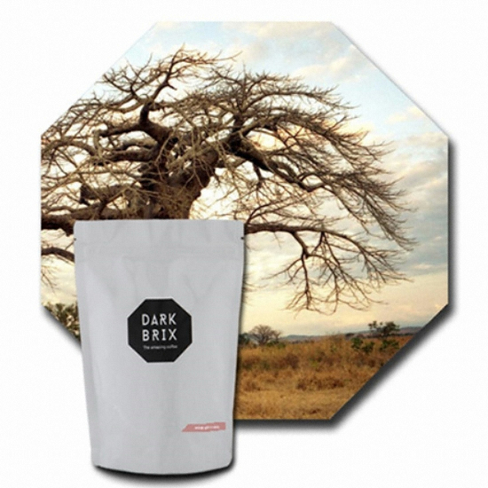 다크브릭스 에티오피아 시다모 G4 1kg