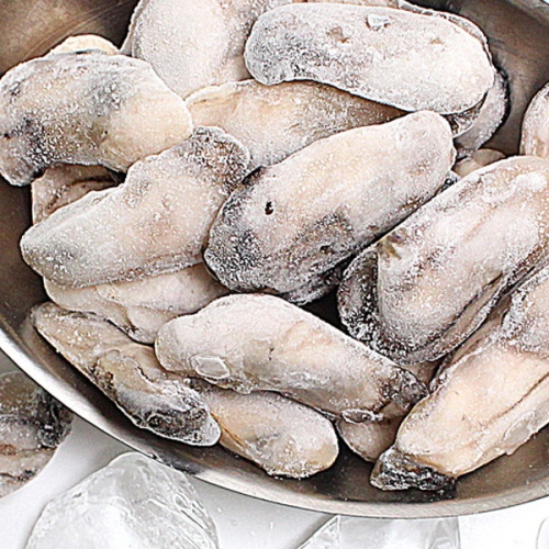 참다올 남해바다 냉동굴 1kg [1개]