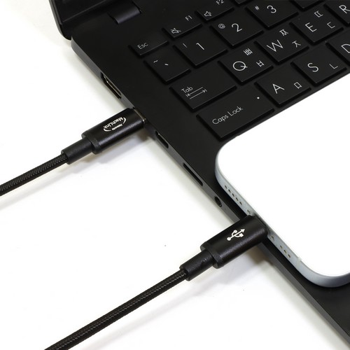 ���ϸ�ũ PD C to CŸ�� 60W ���̺� ML-CPD62