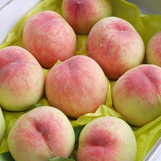 대한농산 털 복숭아 22개(과)내외 4.5kg내외 (1개)
