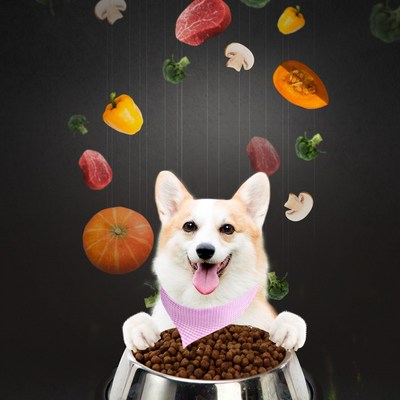 �츮�� ANF �� 6 Free �÷��� ����&������ 200g