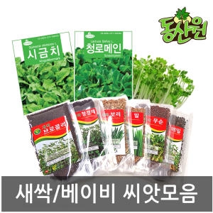 아시아종묘  동산원  씨앗모음 새싹씨앗 베이비씨앗 새싹 무순 밀 연중재배