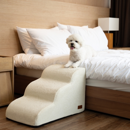 �ù̿��� �����к긯 � ��� 3��