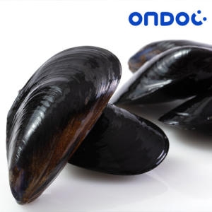 온도씨 세척 생 홍합 3kg (1개)_이미지