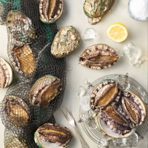 어민전복 완도전복 특특대 7-8미 1kg 산소포장_국내산 양식