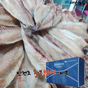 선물용 반건조 활복 편민어 34cm 5마리