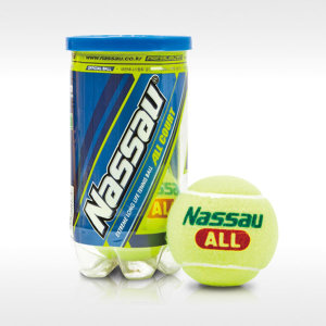 낫소 올 코트 T-250 [1캔(2개)]