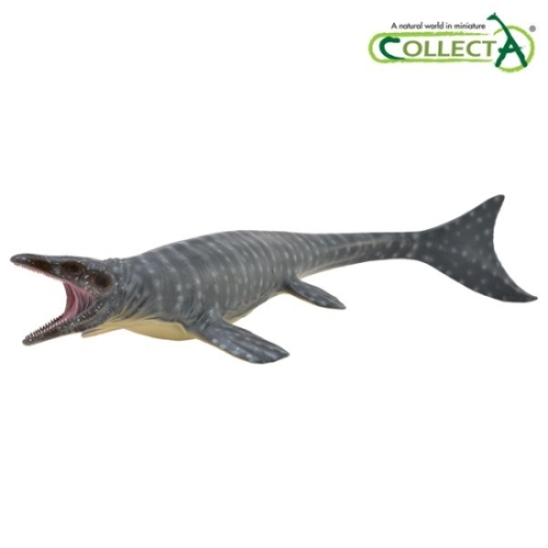 컬렉타 모사사우루스 (일반구매)_이미지