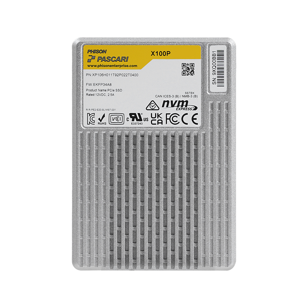파이슨 X-Series X100P U.2 NVMe (15.36TB)_이미지