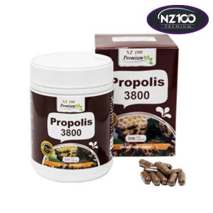  NZ100 프리미엄 프로폴리스 3800 300캡슐 [1개]