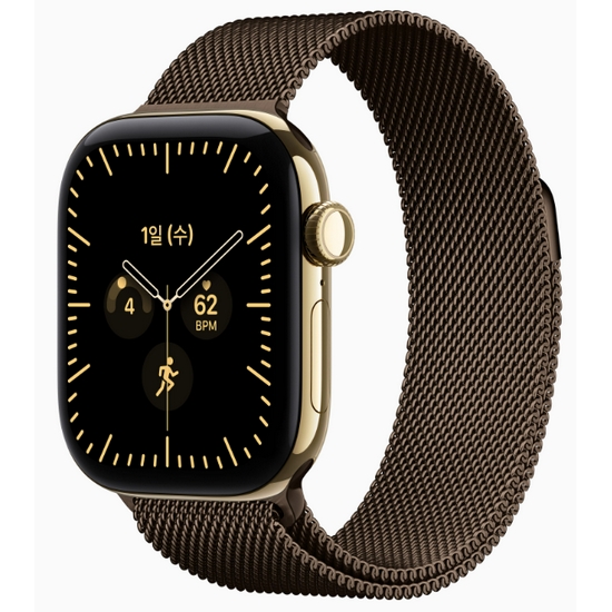 APPLE 워치 시리즈12 42mm Cellular 티타늄 (래디언트골드_밀레니즈루프)_이미지
