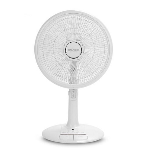 스타일리스 SSF-3805R (일반구매)_이미지