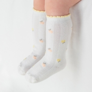 ���������� ���� ���� �Ʊ� �ϻ轺