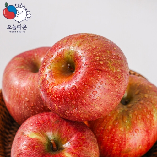 오늘따온 거창 알뜰 실속사과(부사) 7kg (1개)_이미지