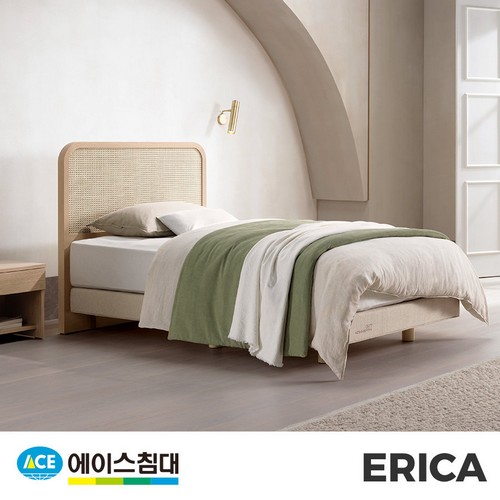 ���̽�ħ�� ERICA ħ�� SS �ϵ� Ÿ��